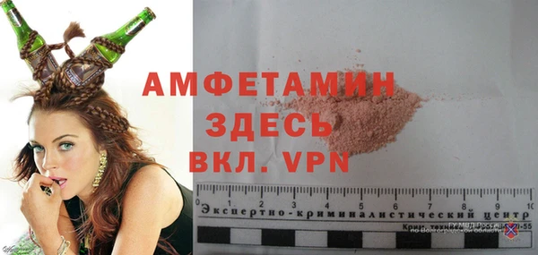 ECSTASY Богданович