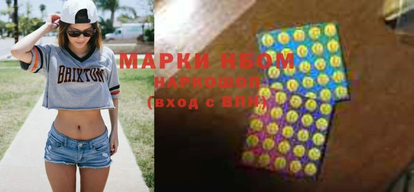 крисы Богородицк