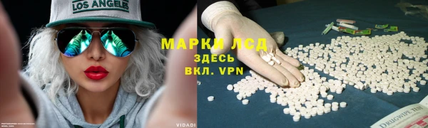 ECSTASY Богданович