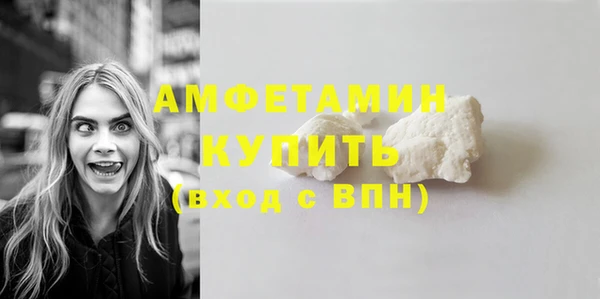 крисы Богородицк