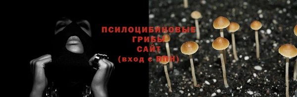 крисы Богородицк