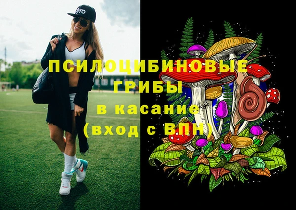 ECSTASY Богданович