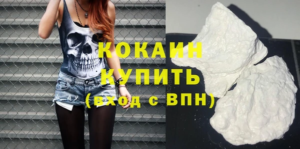 крисы Богородицк