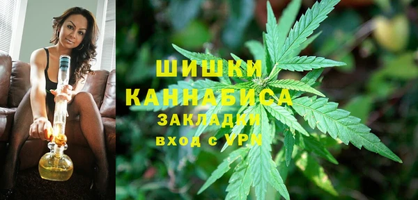 ECSTASY Богданович