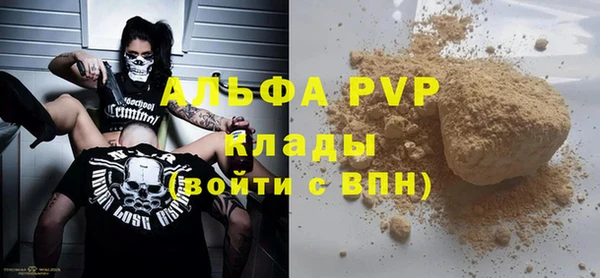 крисы Богородицк