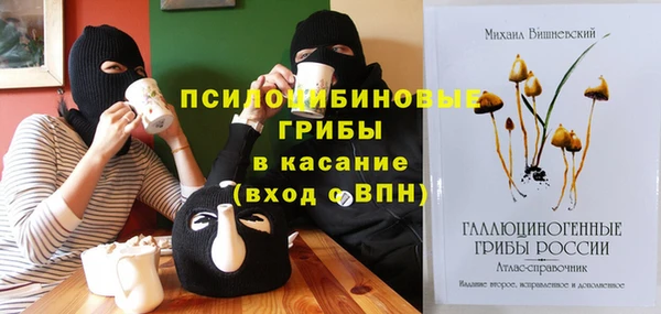 крисы Богородицк