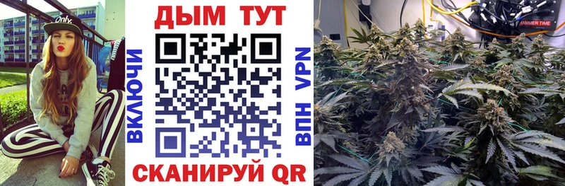 Бошки Шишки планчик Облучье